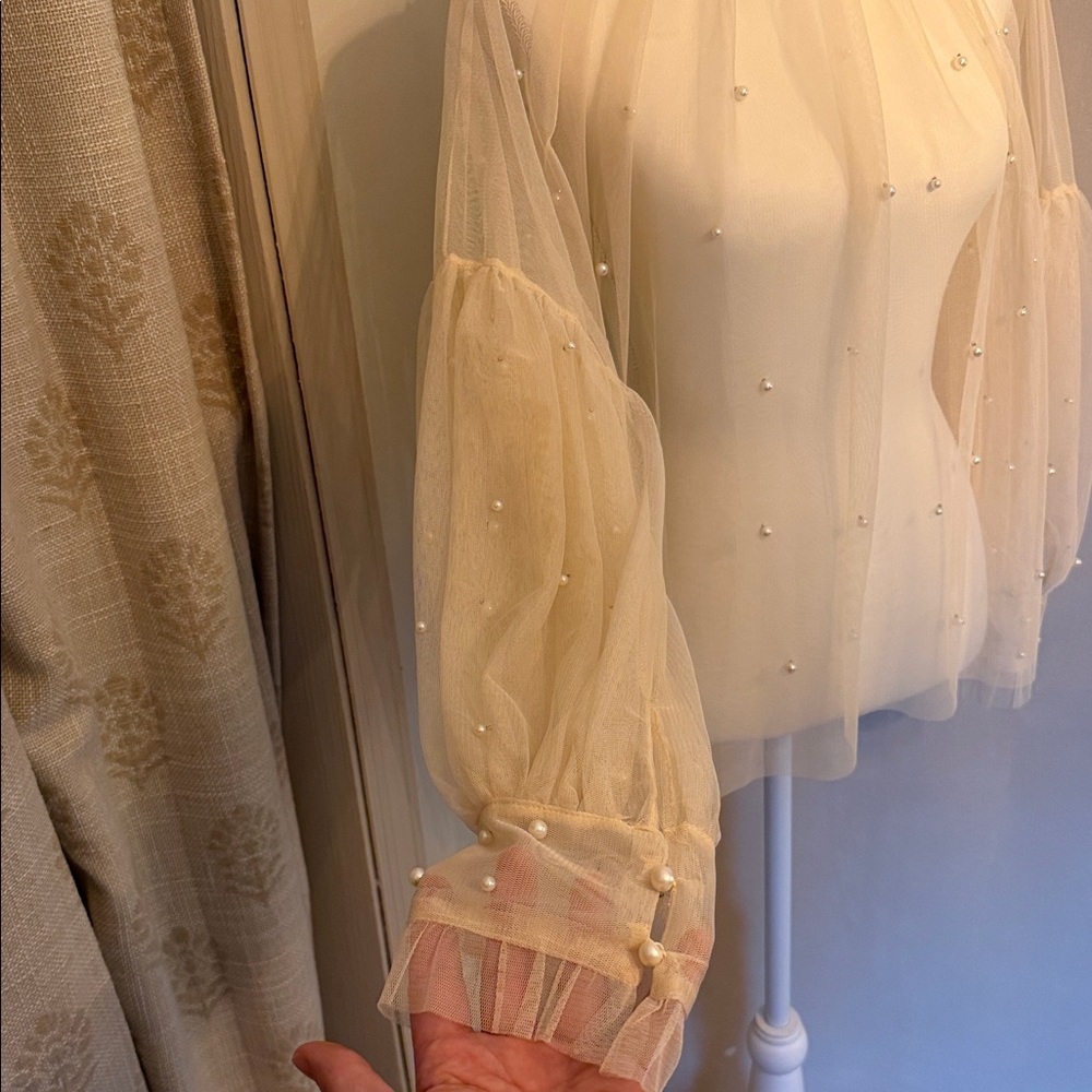 Ultra Pink Sheer Pearl-Embellished Blouse - Cream - Picture 2 of 3